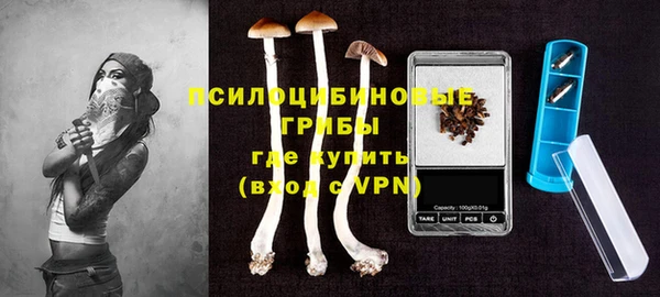 бошки Касимов