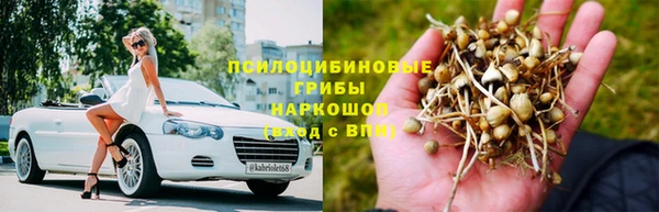 бошки Касимов